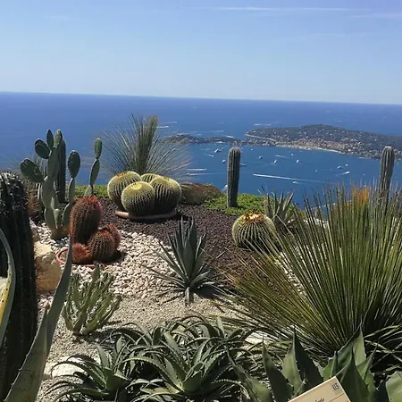 Etoile D'azur T2, Dans Une Avec Piscine. Fréjus